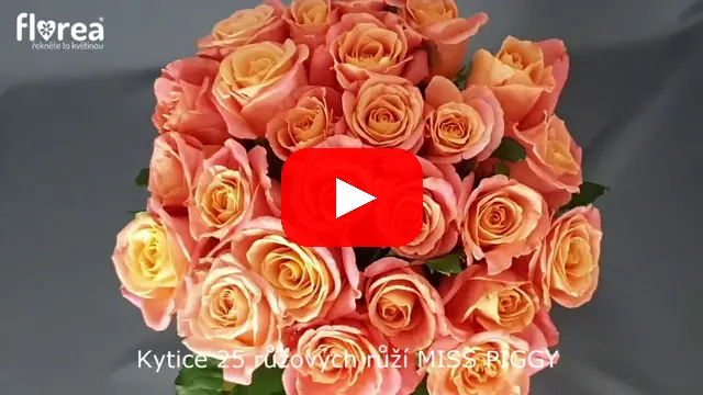 Video: Kytice 25 růžových růží MISS PIGGY