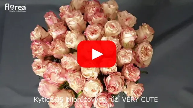 Video: Kytice 35 bílorůžových růží VERY CUTE