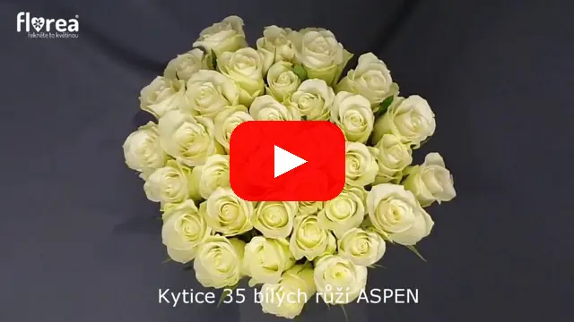 Video: Kytice 35 bílých růží ASPEN