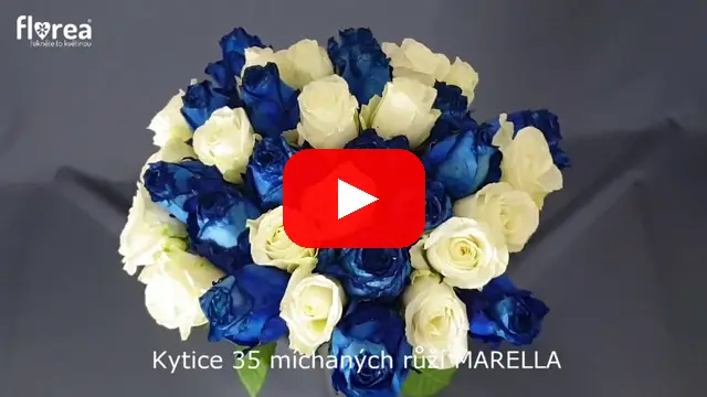 Video: Kytice 35 míchaných růží MARELLA