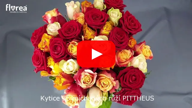 Video: Kytice 35 míchaných růží PITTHEUS
