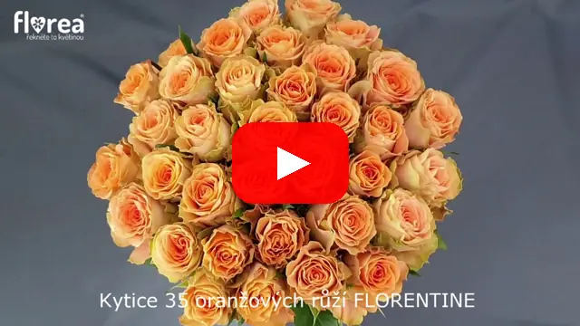 Video: Kytice 35 oranžových růží FLORENTINE