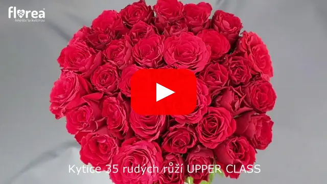 Video: Kytice 35 rudých růží UPPER CLASS