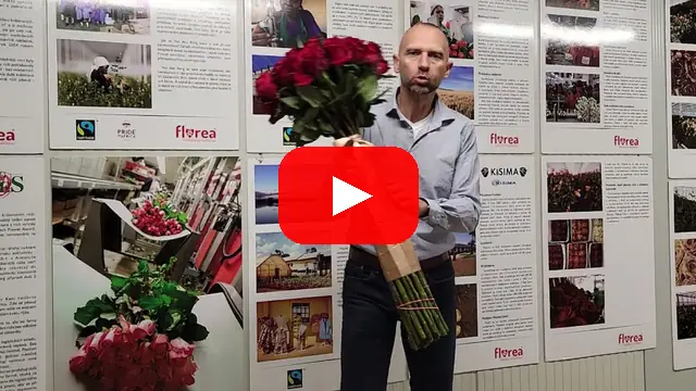 Video: Kytice 35 růží Ever Red v délce 90cm