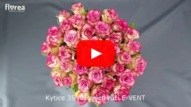 Video: Kytice 35 růžových růží E-VENT