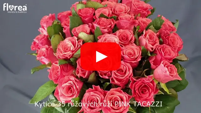 Video: Kytice 35 růžových růží PINK TACAZZI
