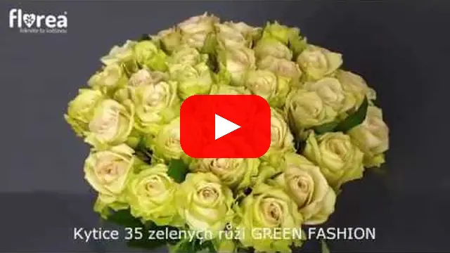 Video: Kytice 35 zelených růží GREEN FASHION