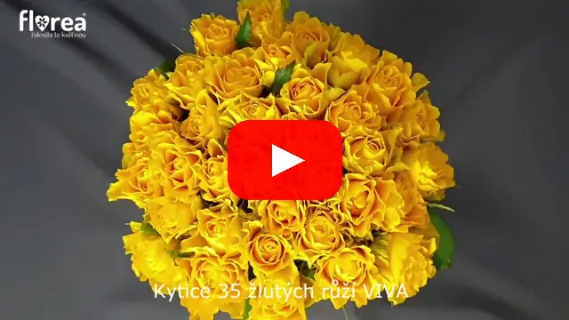 Video: Kytice 35 žlutých růží VIVA