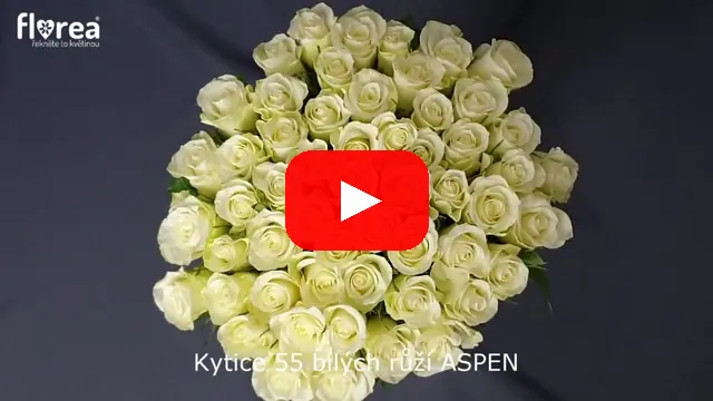 Video: Kytice 55 bílých růží ASPEN
