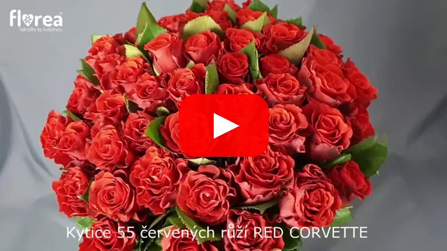 Video: Kytice 55 červených růží RED CORVETTE