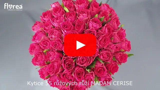 Video: Kytice 55 růžových růží MADAM CERISE