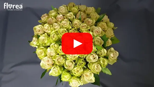 Video: Kytice 55 zelených růží GREEN FASHION