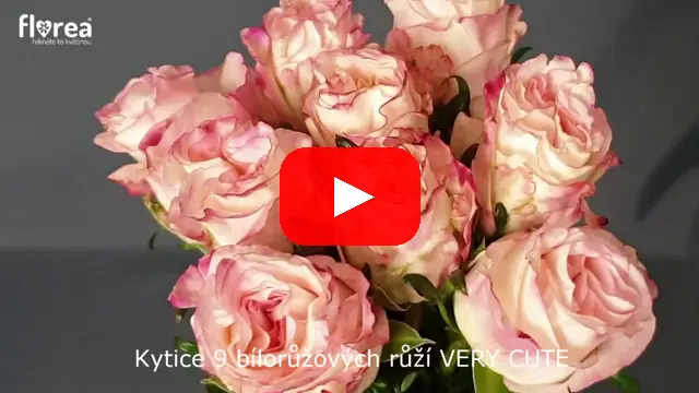 Video: Kytice 9 bílorůžových růží VERY CUTE