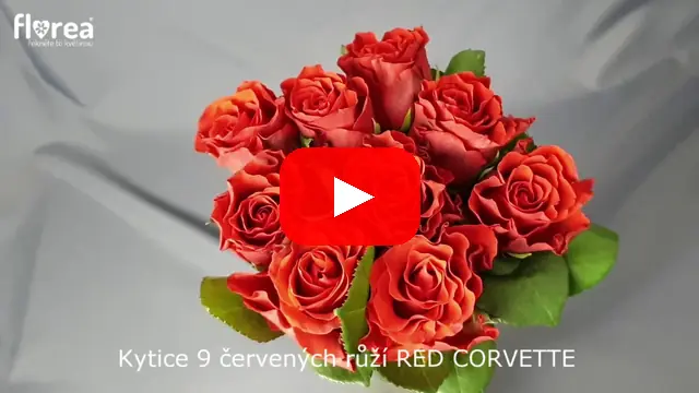 Video: Kytice 9 červených růží RED CORVETTE