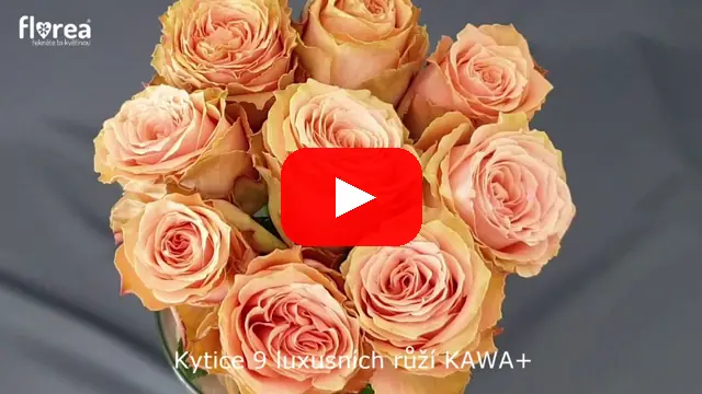 Video: Kytice 9 luxusních růží KAWA+