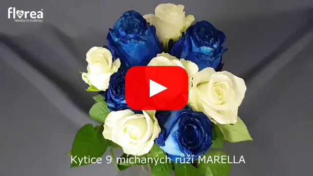 Video: Kytice 9 míchaných růží MARELLA