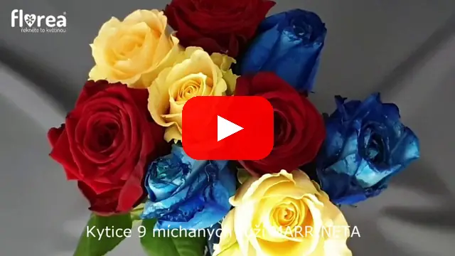 Video: Kytice 9 míchaných růží MARRINETA