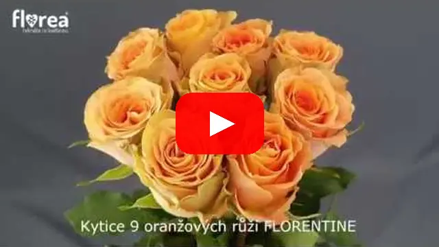 Video: Kytice 9 oranžových růží FLORENTINE