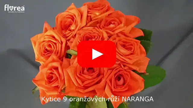 Video: Kytice 9 oranžových růží NARANGA