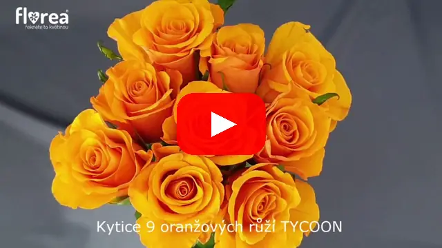 Video: Kytice 9 oranžových růží TYCOON