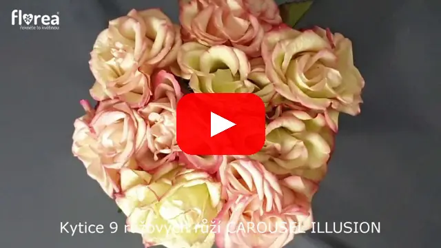 Video: Kytice 9 růžových růží CAROUSEL ILLUSION