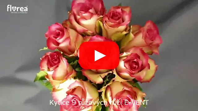 Video: Kytice 9 růžových růží E-VENT