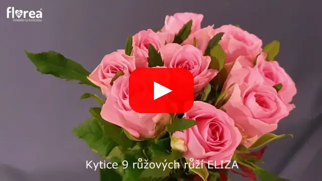 Video: Kytice 9 růžových růží ELIZA