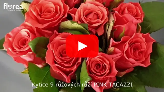 Video: Kytice 9 růžových růží PINK TACAZZI