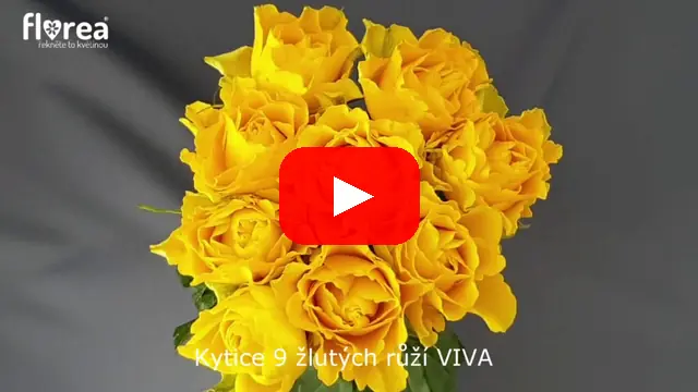 Video: Kytice 9 žlutých růží VIVA