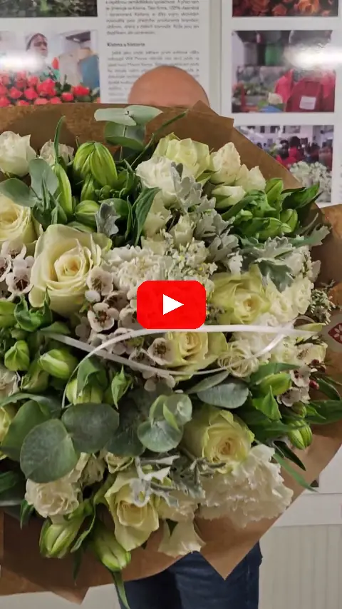 Video: Dianthus ST Dubai