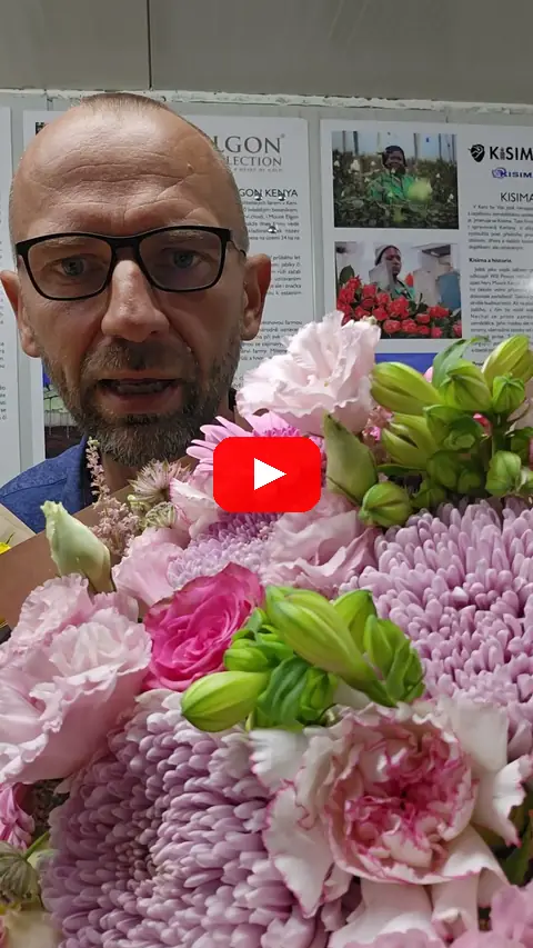 Video: Míchané kytice s jednokvětou chryzantémou