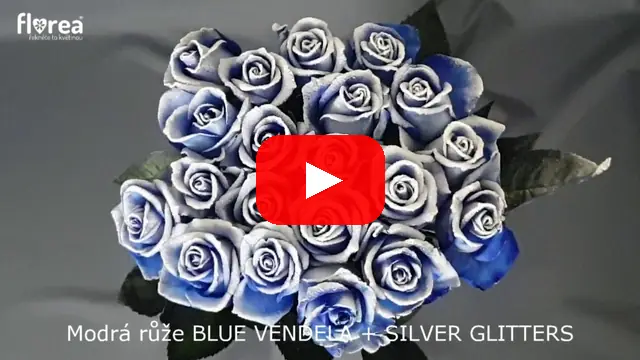 Video: Modrá růže BLUE VENDELA + SILVER GLITTERS
