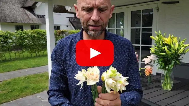 Video: Narcis Snow Paradise