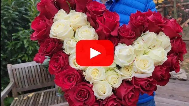 Video: Srdce z růží Georgia a Ever Red