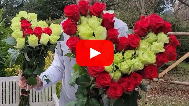 Video: Srdce z růží Lorana a Amalia