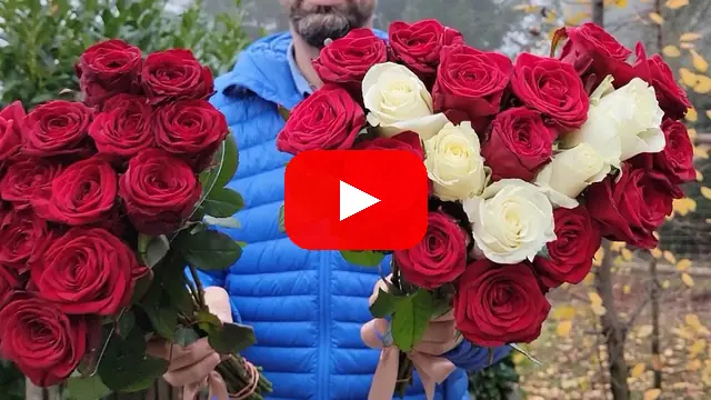Video: Srdce z růží malé Georgia a Red Naomi