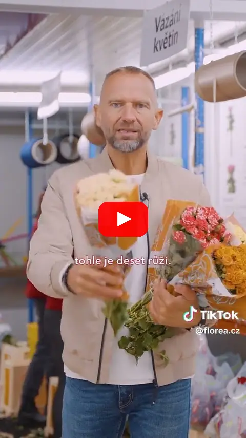 Video: Vícekvěté trsové růže