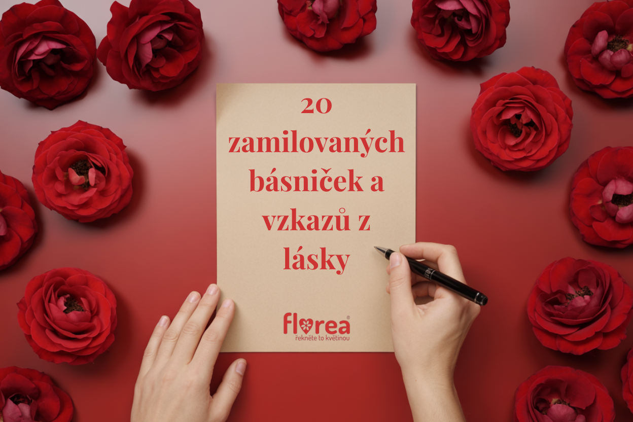 20 zamilovaných básniček a vzkazů z lásky