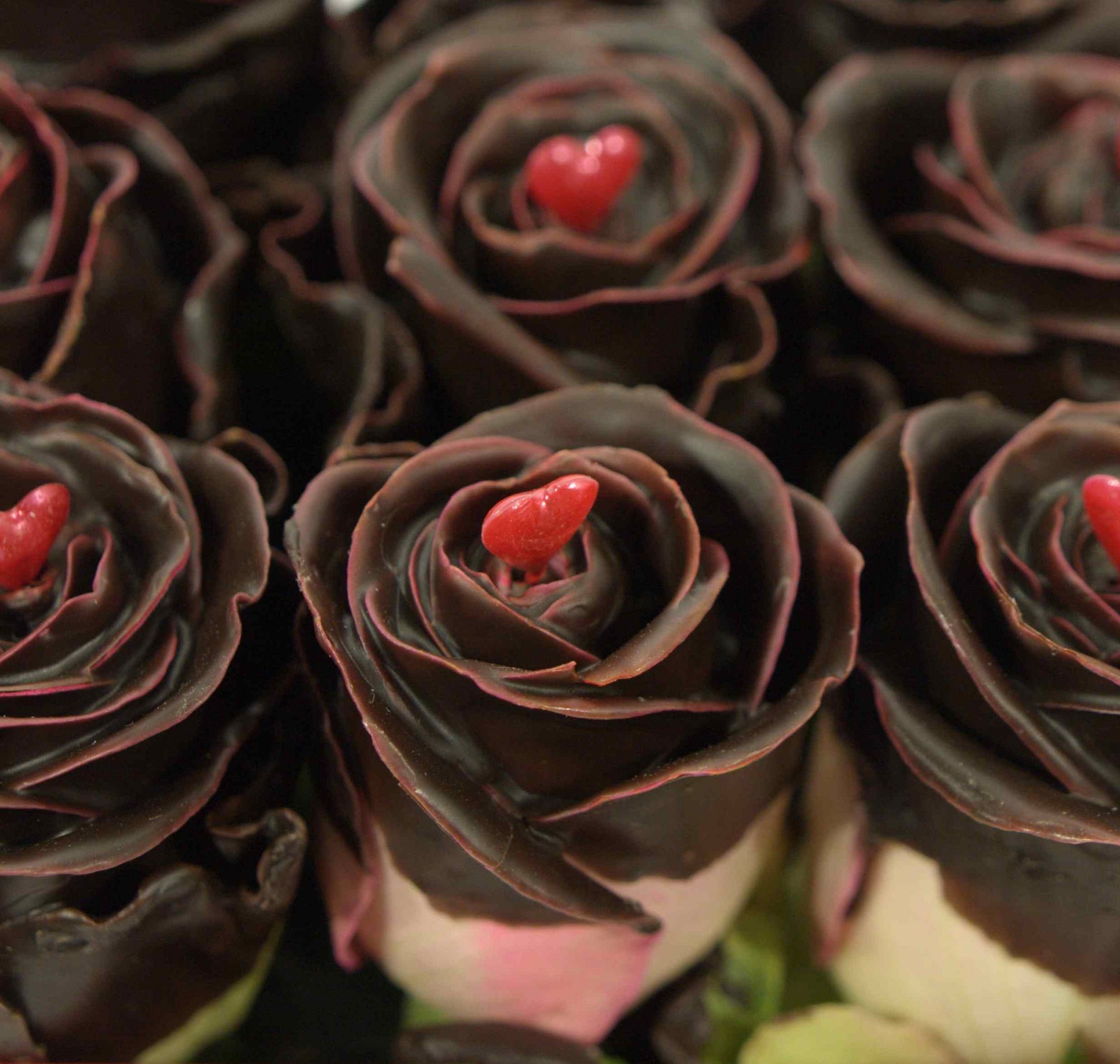 Sladké na pohled: speciální růže