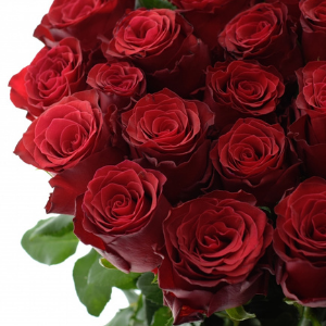 Valentýn 2022: Kam zmizela růže Rhodos