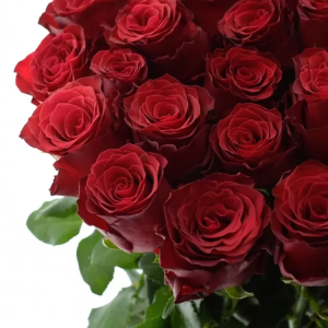 Cena růží na Valentýna 2023