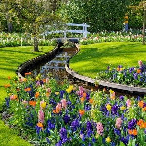 Fotografie tulipánů ze zahrady Keukenhof 2023