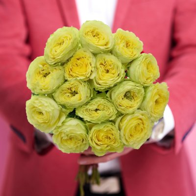 Zelená růže Lemon Zeste - Originální a svěží volba pro každou příležitost