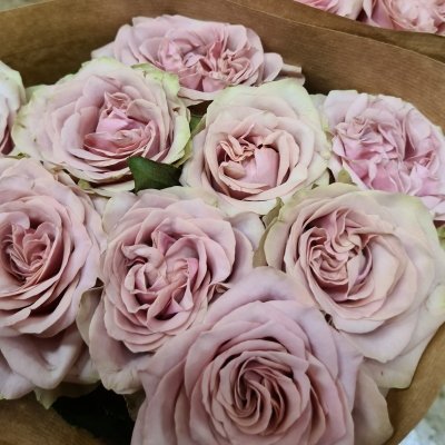 Péče o řezané zahradní růže David Austin