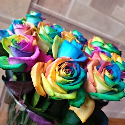 Duhové růže: Originální květiny plné barev