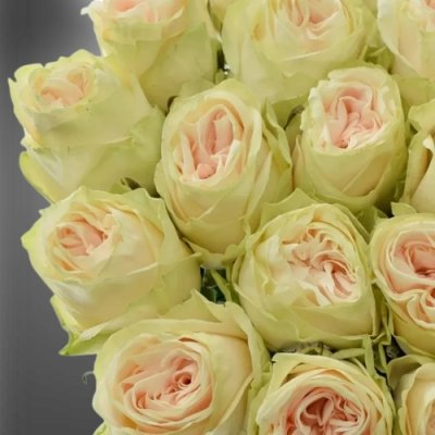Bílá řezaná růže Wedding Rose
