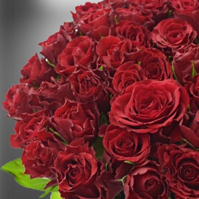 Květy luxusních červených růží Upper Class