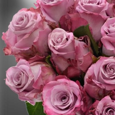 Velké květy fialových růží Maritim od Fresco Flowers