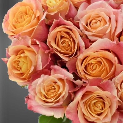 Květy oranžových řezaných růží s největším květem 3D