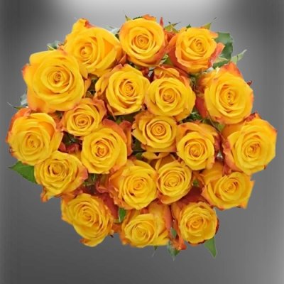 Žluté řezané růže Candlelight